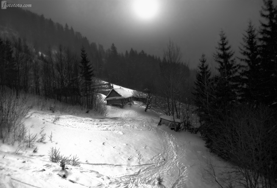 Фотографія Зимний сон / Александр Нырко / photographers.ua
