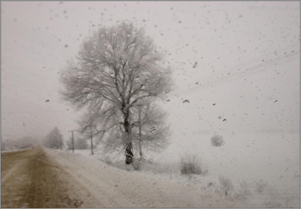Фотографія Дорога в нікуди, або 12.12.12, або снігопад, або... життя продовжується / Юрій Веремчук (YurijV) / photographers.ua