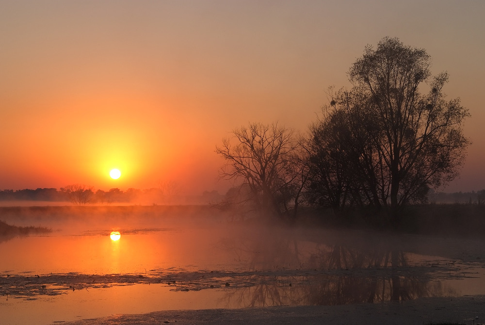 Фотографія ранок старої річки ** / Микола Шахманцір / photographers.ua