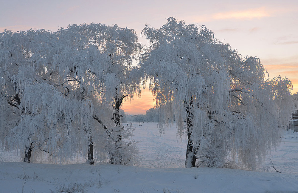 Фотографія ажурні ворота в морозний ранок / Анатолий Жучинский / photographers.ua