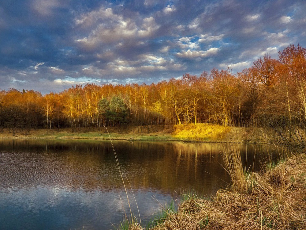 Фотографія Про лесное озерцо ,солнечное утро и весну... / Taabu / photographers.ua