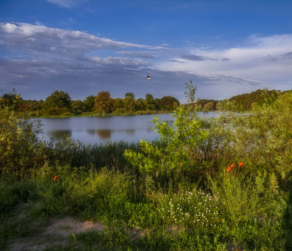 Фотографія Утро,обочина,озеро и неяркое весеннее солнце... / Taabu / photographers.ua