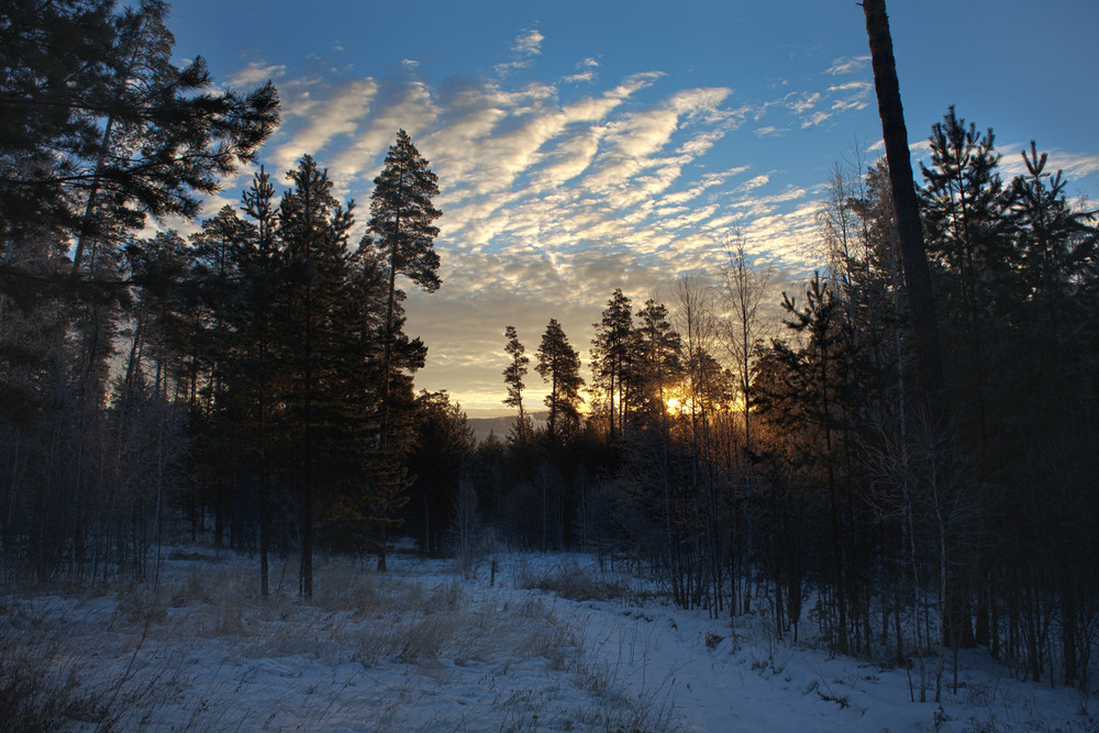Фотографія Морозное утро / San Palych / photographers.ua