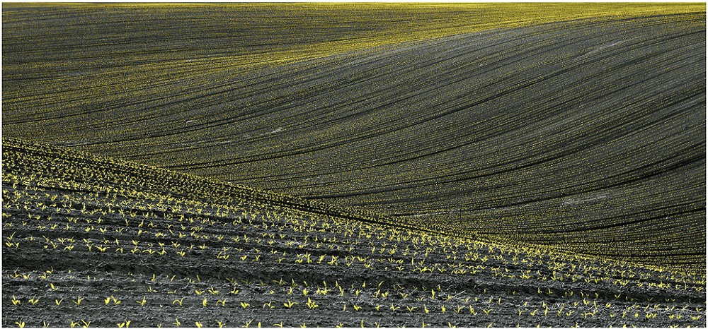 Фотографія Empty Spring Field №1 / Aeromast / photographers.ua