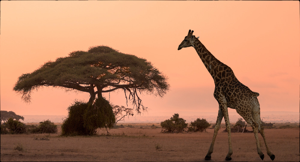 Фотографія Африканский закат / Mariner / photographers.ua