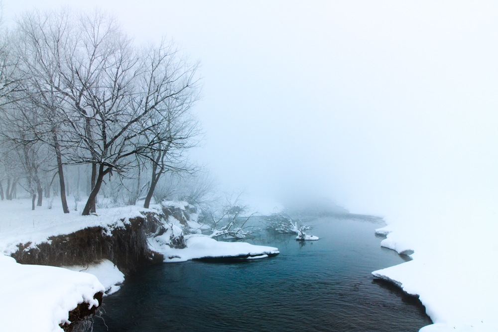 Фотографія Туман N...1 / Taras Parashchuk / photographers.ua