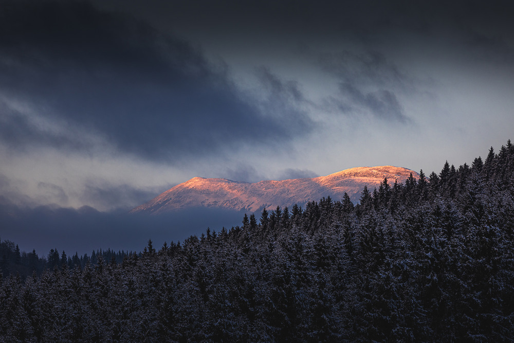 Фотографія Memories of hard day's night / photographers.ua