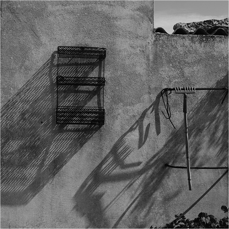 Фотографія граблі / photographers.ua