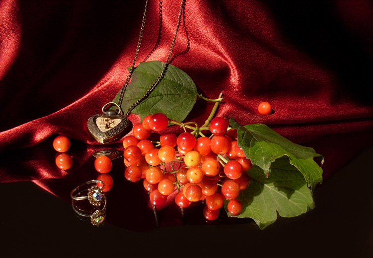 Фотографія Разное / photographers.ua