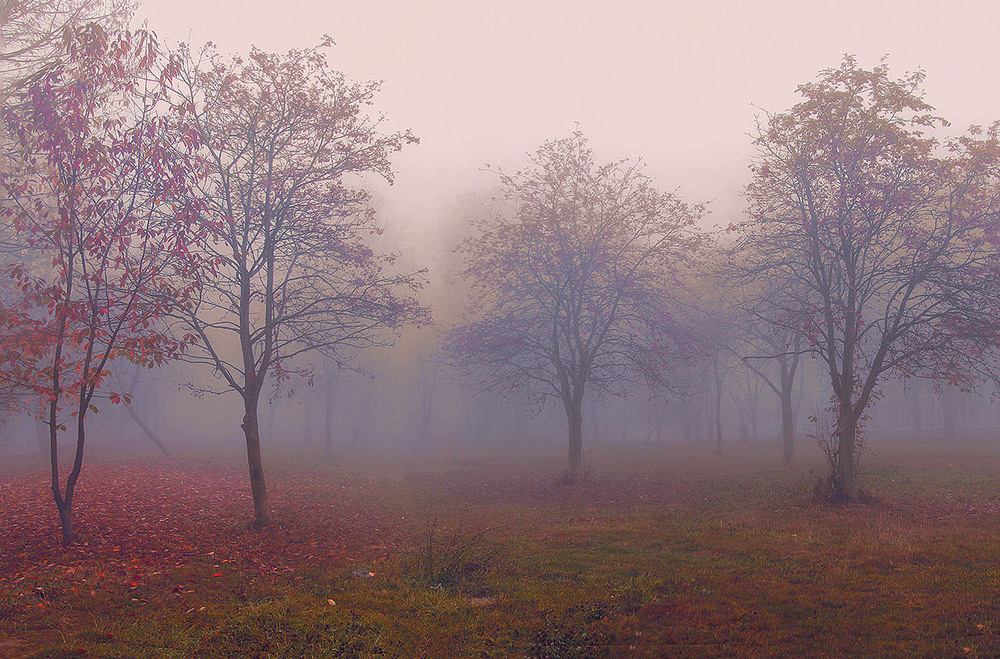Фотографія ***** / photographers.ua
