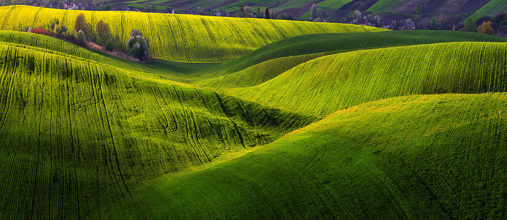 Фотографія Дихання зелених хвиль... / Taras Tsybukh / photographers.ua
