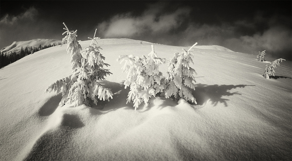 Фотографія Снігова тиша висот... / Taras Tsybukh / photographers.ua