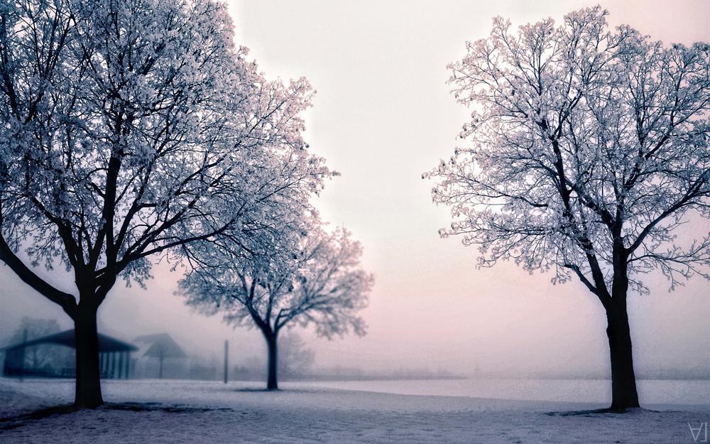 Фотографія Winter Colours / Адис Лэтси / photographers.ua