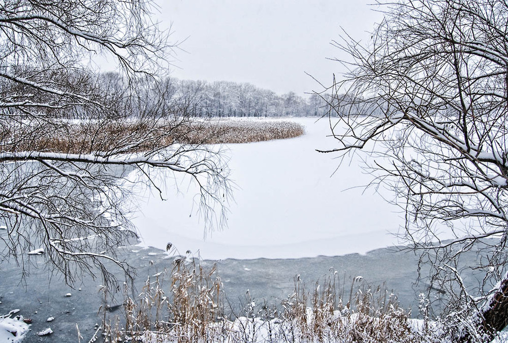 Фотографія В обрамлении зимы... / Oleksandr D. / photographers.ua