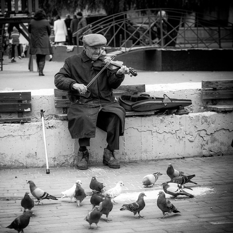 Фотографія И воркованья голубей. ..... Один, сжимая скрипки тень / Yuriy Kosyuk / photographers.ua