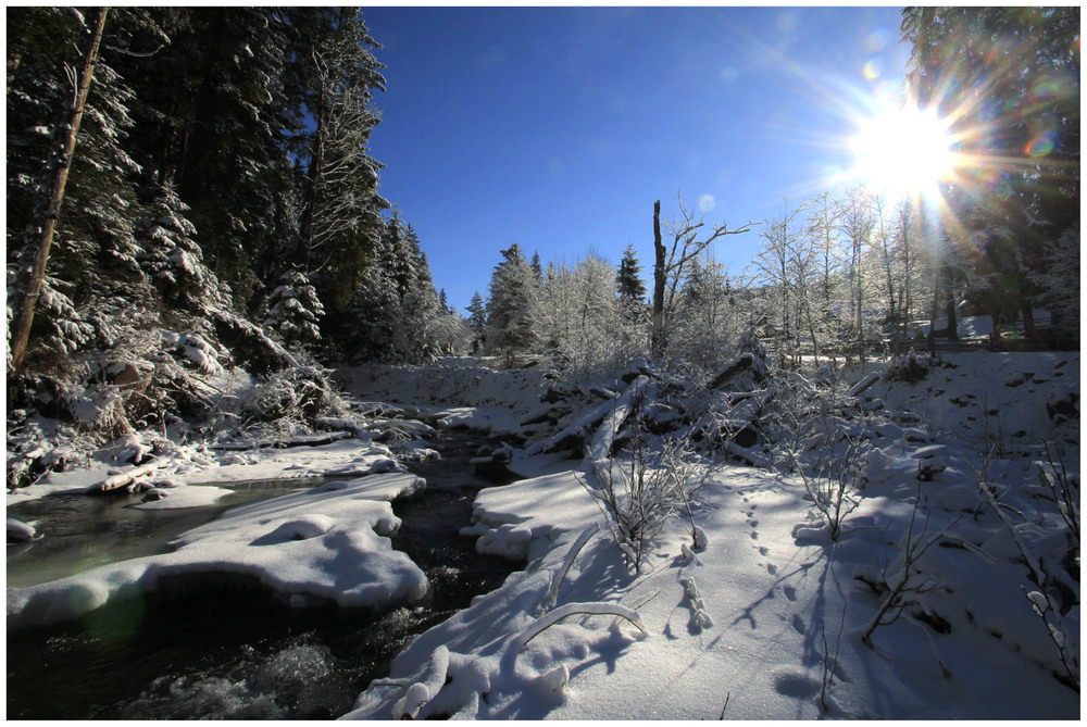 Фотографія Зима, леса нарядила в снега, запрятала речку в сугробы. / Наталья Дорожанская / photographers.ua