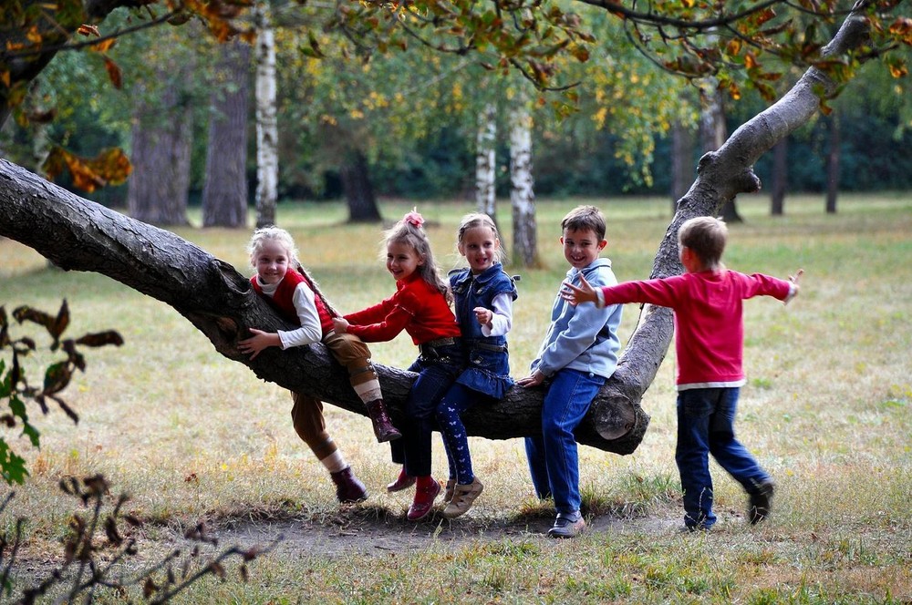 Фотографія Детский мир / Ivan 4irikoff / photographers.ua