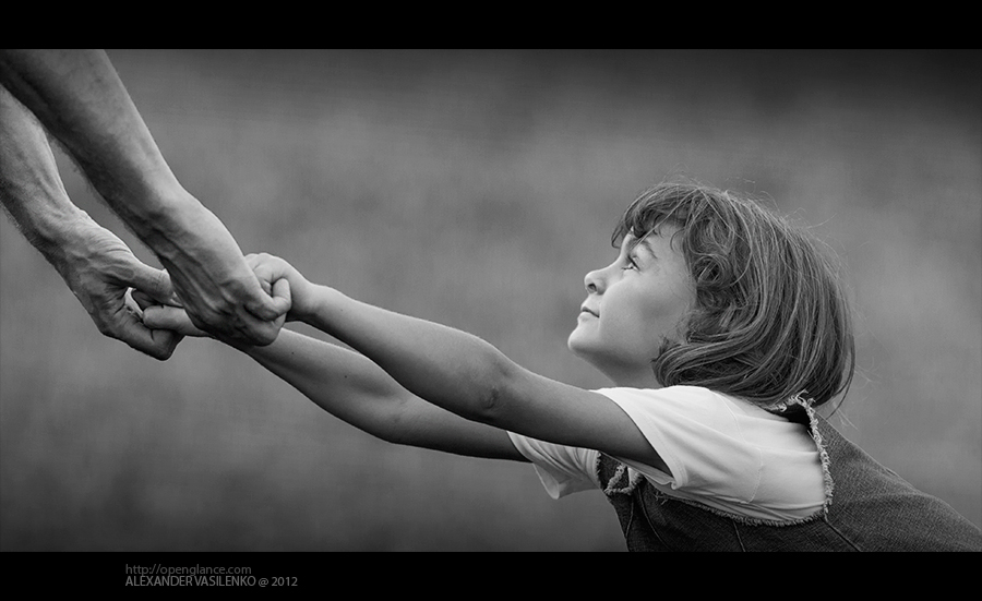 Фотографія Brief moment... / Alexander Vasilenko / photographers.ua