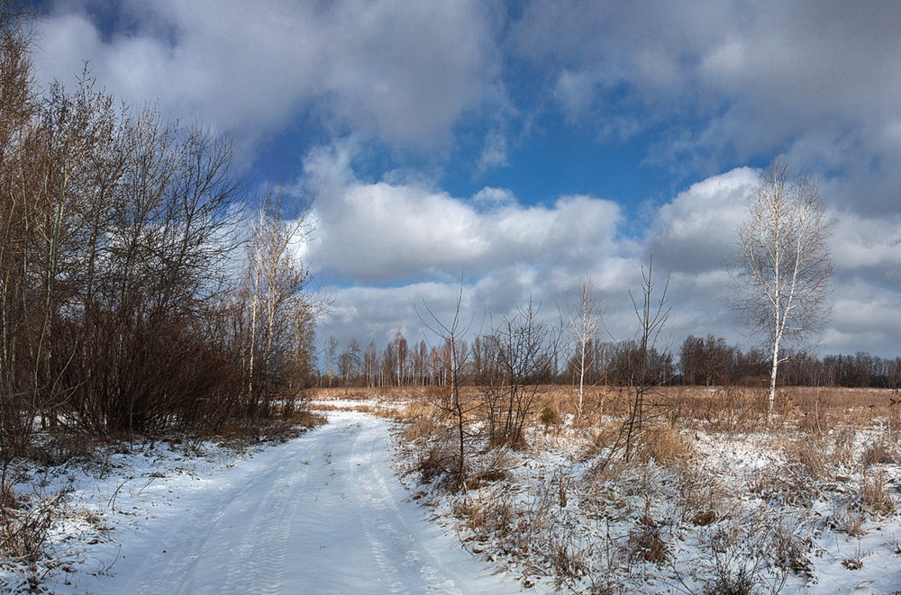 Фотографія По снежной дорожке в облака... / Ewgenium / photographers.ua