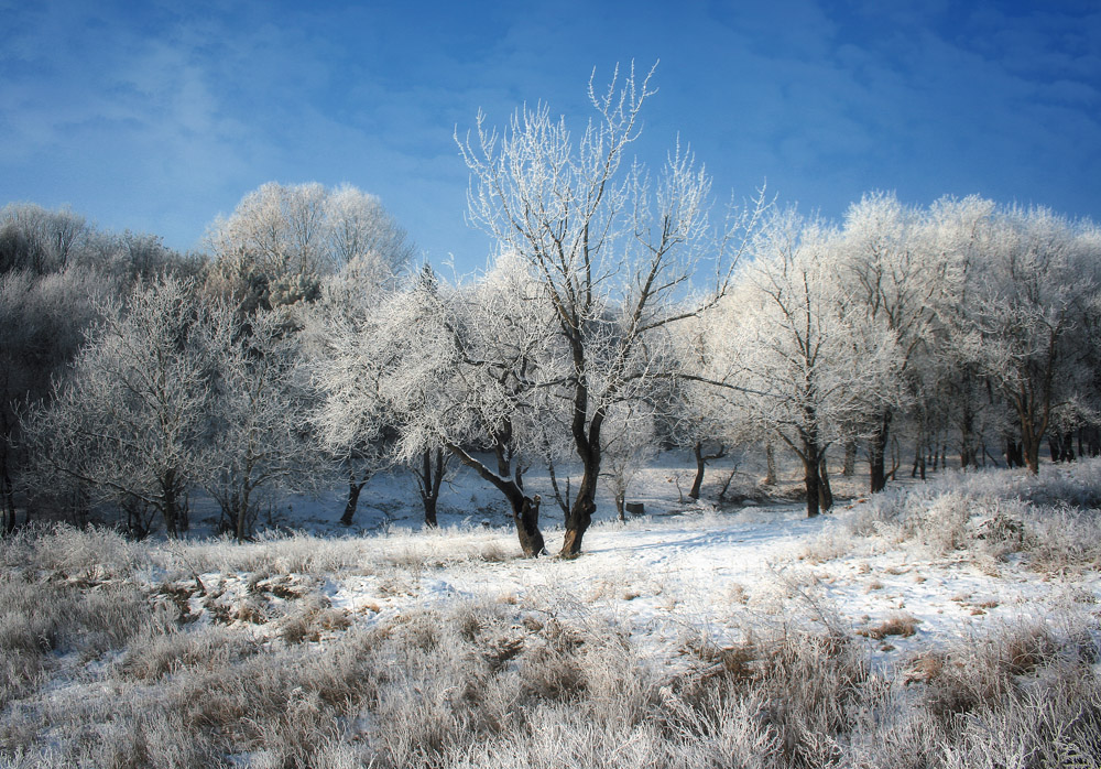 Фотографія зимний этюд / grv_tad / photographers.ua
