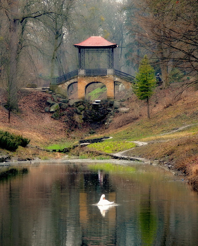 Фотографія Китайський місток / Пархоменко Олександр / photographers.ua