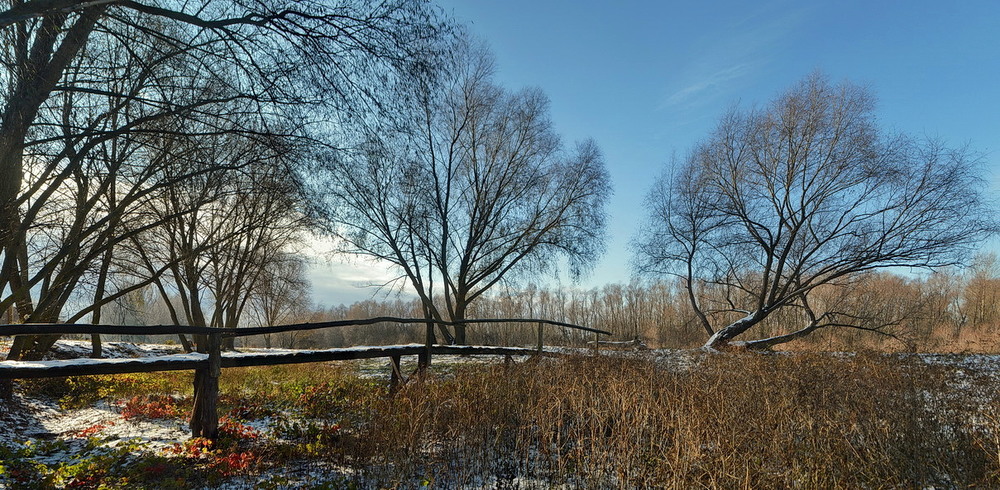 Фотографія Між осінню і зимою / Пархоменко Олександр / photographers.ua