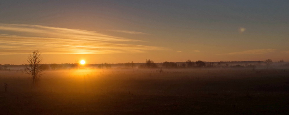 Фотографія Сонце в тумані / Пархоменко Олександр / photographers.ua
