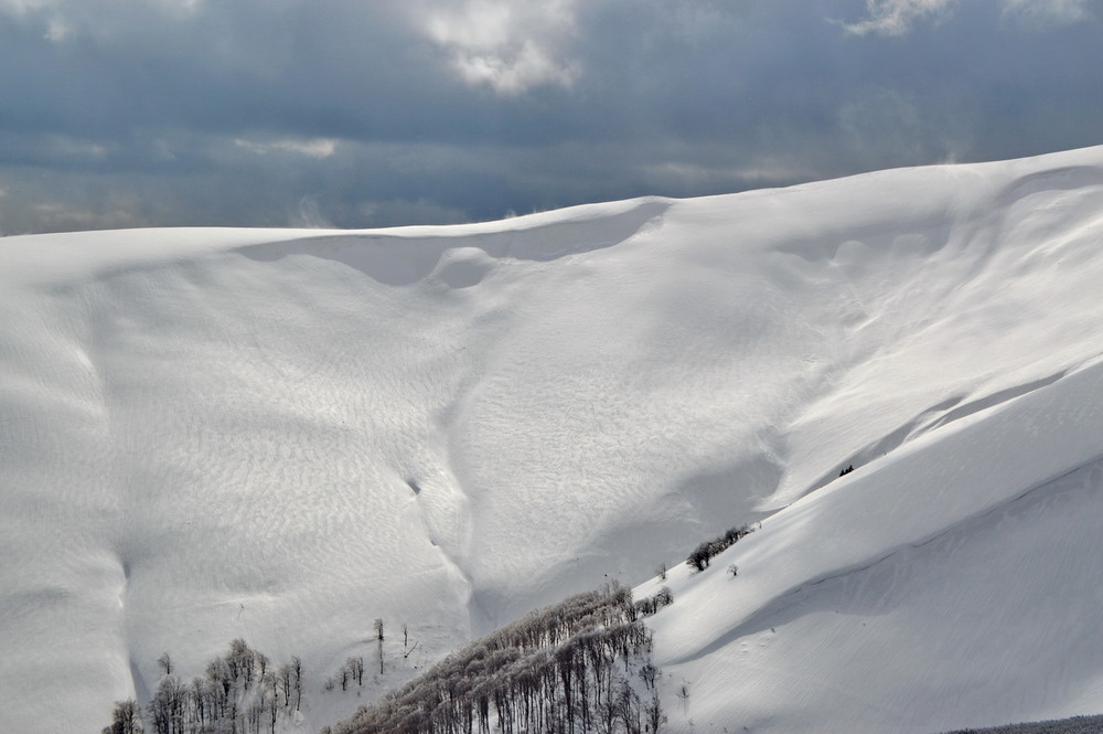 Фотографія Боржавські сніги / Пархоменко Олександр / photographers.ua