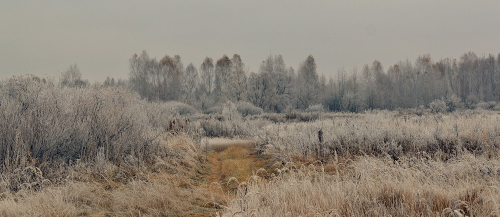 Фотографія Десь на Поліссі / Пархоменко Олександр / photographers.ua