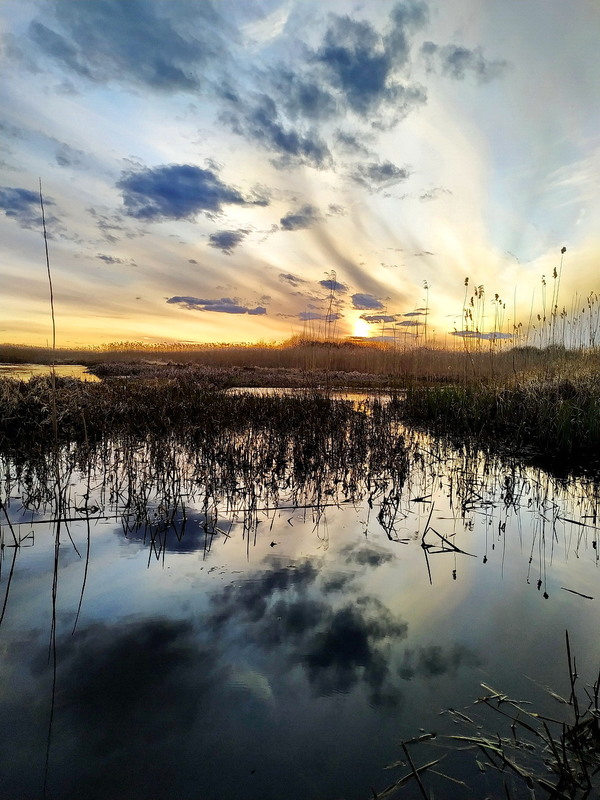Фотографія Захід сонця над Прип'яттю 2 / Пархоменко Олександр / photographers.ua