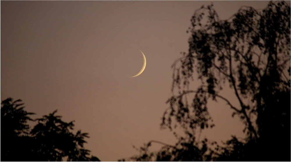 Фотографія Молодий місяць / Yehuda Chaim / photographers.ua
