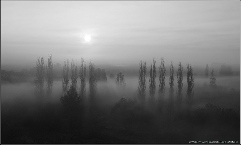 Фотографія Якось туманним ранком... / Yehuda Chaim / photographers.ua