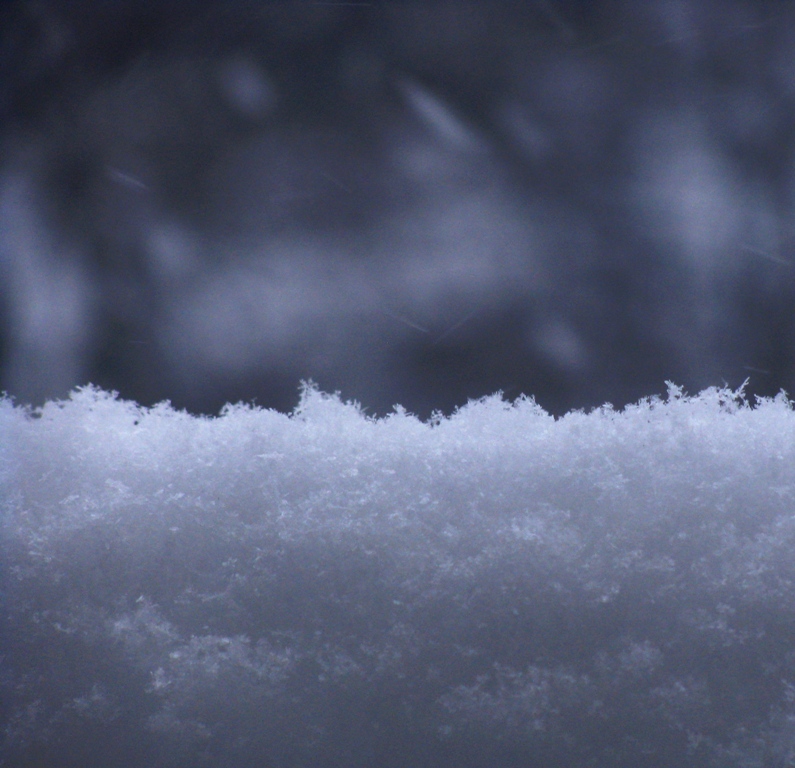 Фотографія Вчерашний снег... / Алина Калиниченко / photographers.ua