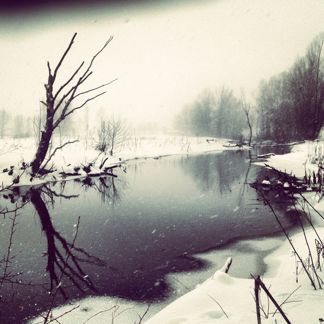 Фотографія Весенняя зима / Роман Турчак / photographers.ua