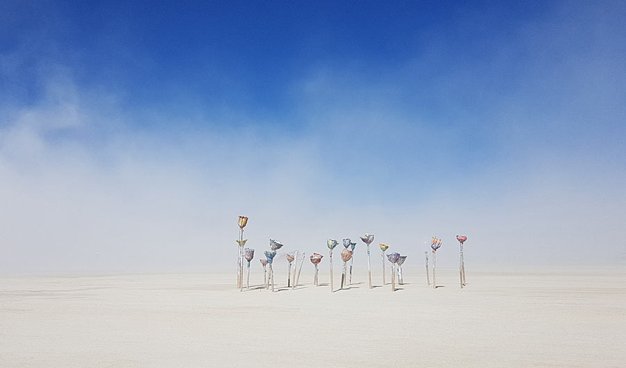 Фотографія пустыни пыльные цветы / Irina Art / photographers.ua