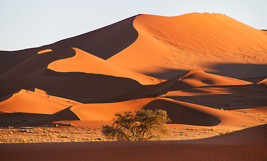 Самая сухая пустыня в африке. Пустыня Намиб природная зона. Равнина Намиб. Ландшафты Африки Африка. Ландшафт пустыни Африки.