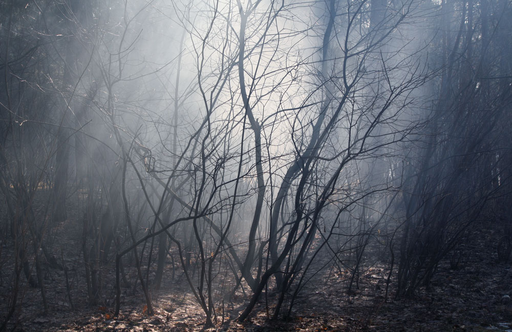Фотографія синий туман / Anna K. / photographers.ua