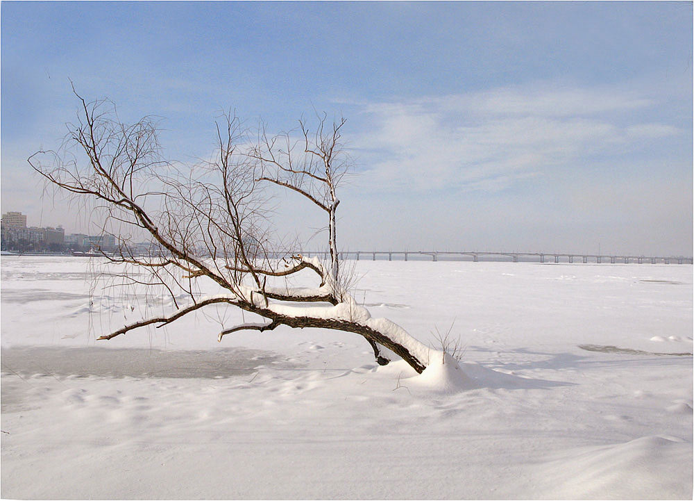 Фотографія Зимний сон / Макс Радко / photographers.ua
