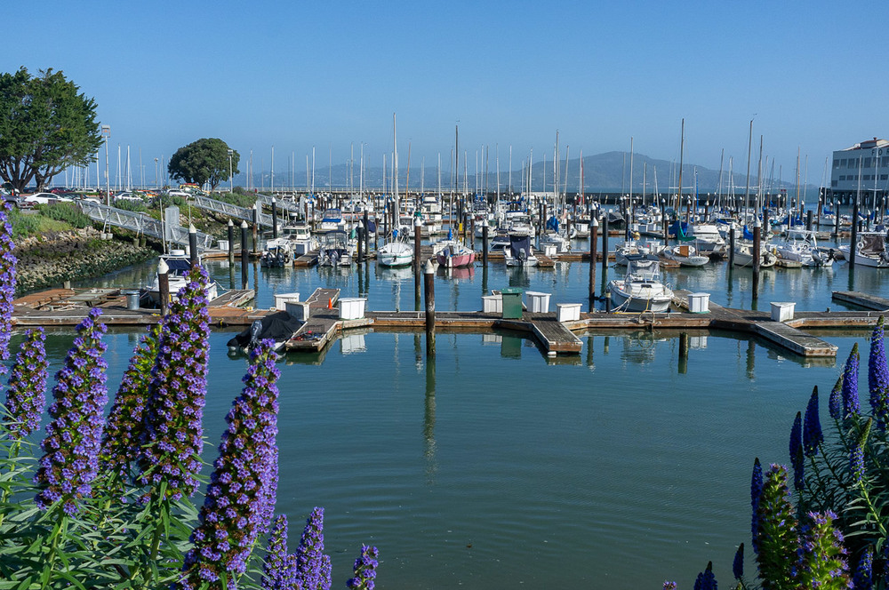 Фотографія Гавань Сан-Франциско / San Francisco Yacht Harbor / Wild West / photographers.ua