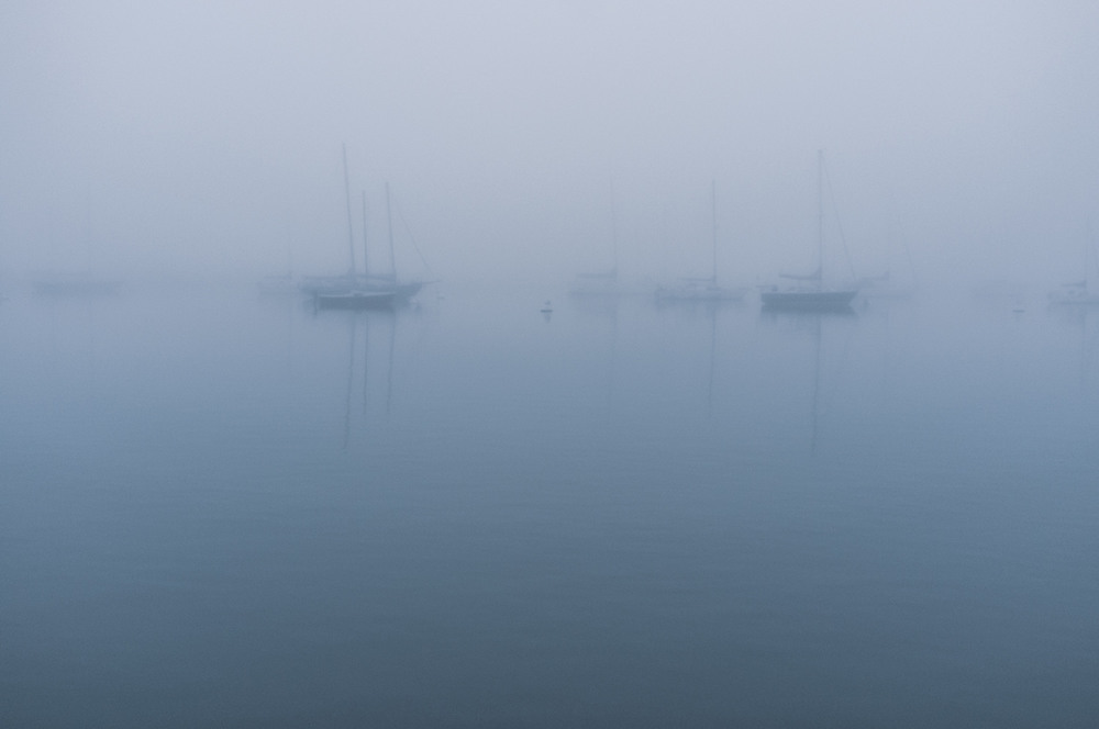 Фотографія Ранковий туман у Морро Бей / Foggy morning in Morro Bay, California / Wild West / photographers.ua