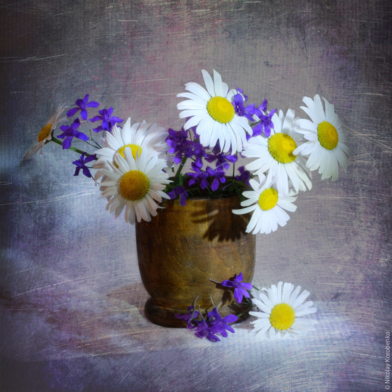 Фотографія Nature morte / Микола Коробенко / photographers.ua