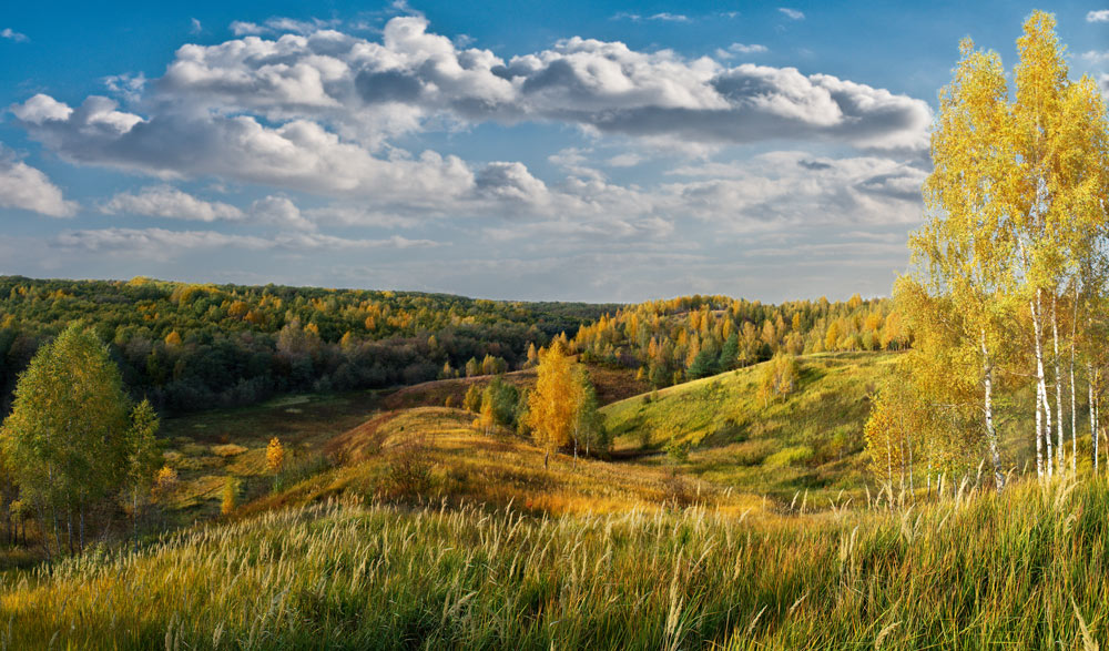 Фотографія осінь в ярах... / Maks Dmytrenko / photographers.ua