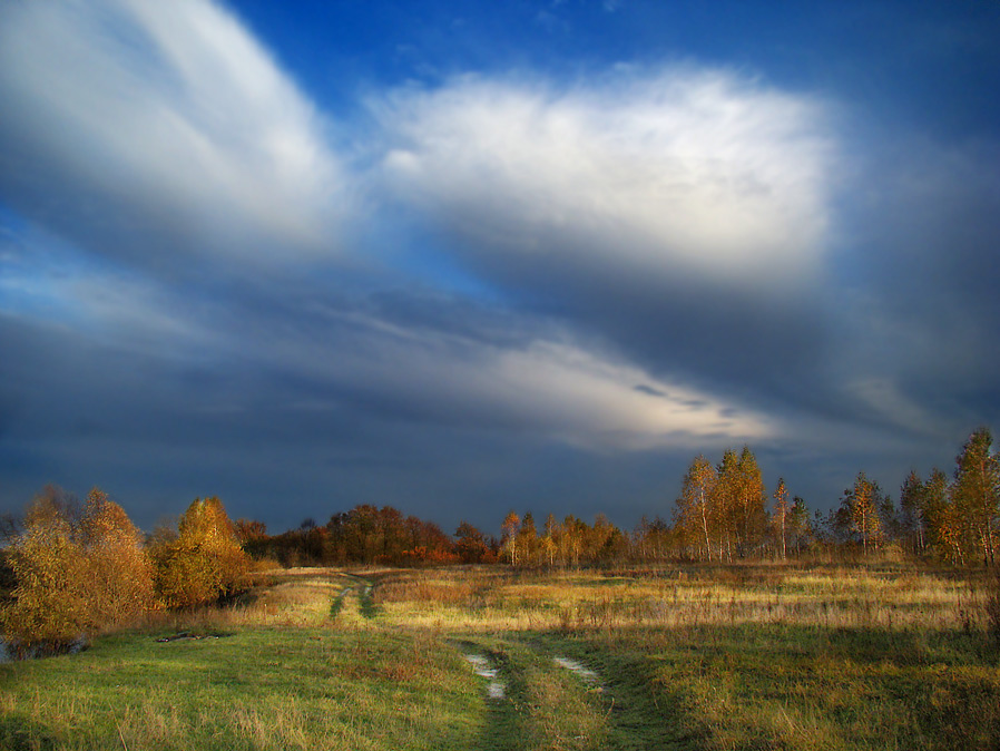 Фотографія осінь... / Maks Dmytrenko / photographers.ua