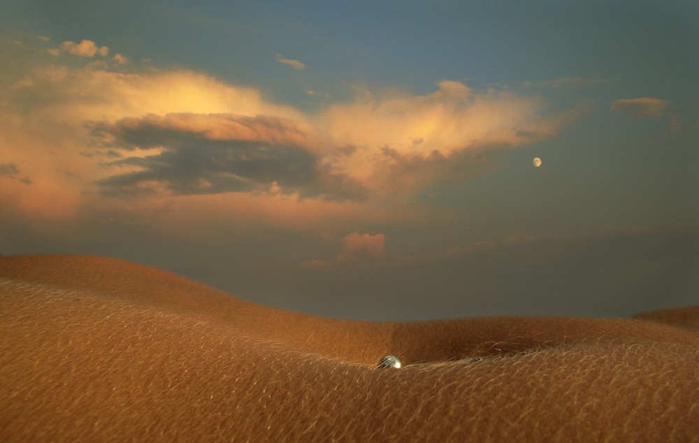 Фотографія перлина пустелі... / Maks Dmytrenko / photographers.ua