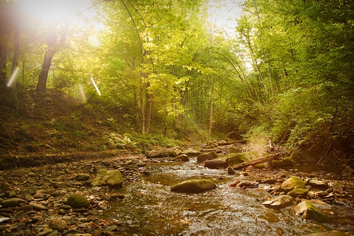 Фотографія River & the sun / Ирина Осауленко / photographers.ua