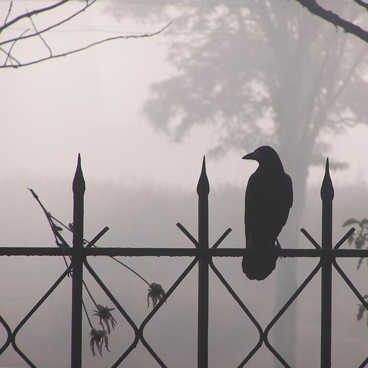 Фотографія она не прилетела / Виктория Бутко / photographers.ua