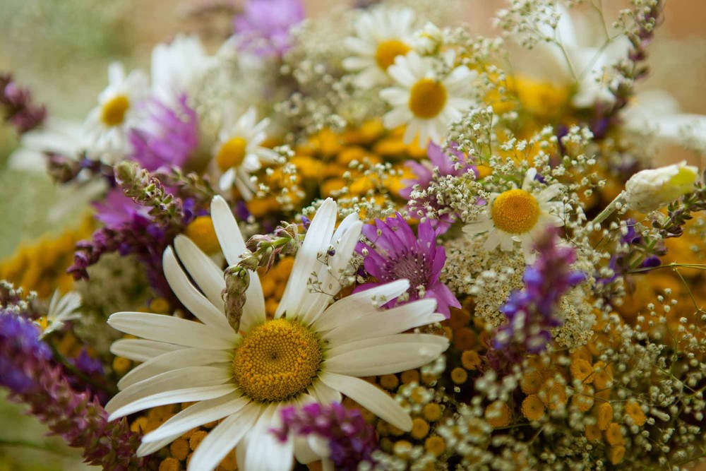 Фотографія Летнее настроение) / Natali Osons / photographers.ua