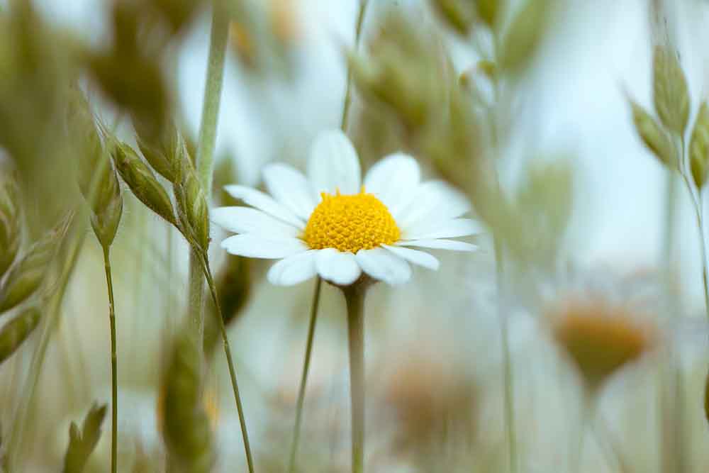 Фотографія Пейзаж / Natali Osons / photographers.ua