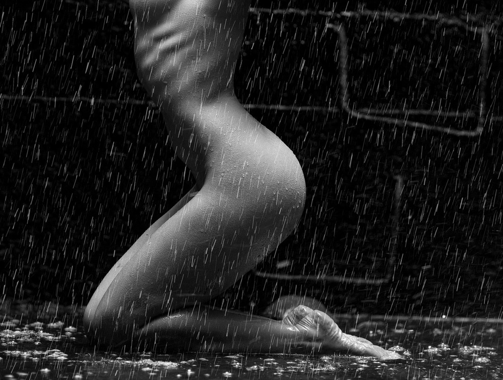 Фотографія Под шум дождя... / Виктор Коваленко / photographers.ua