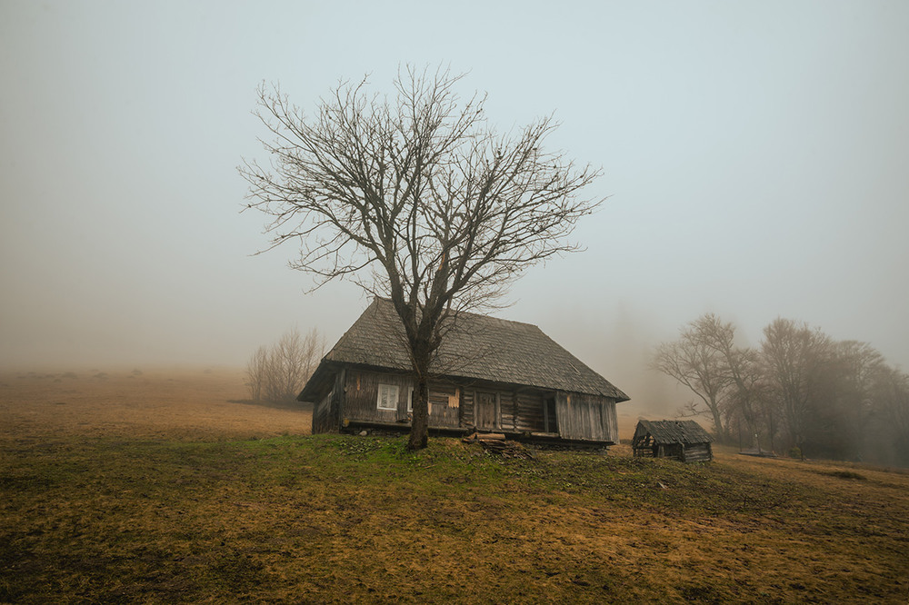 Фотографія Заброшенный дом в Карпатах / Максим Тарасенко / photographers.ua